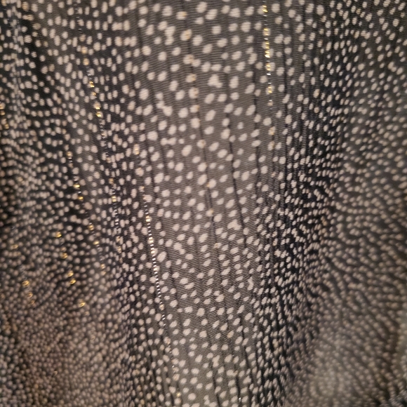 MODCLOTH sheer vintage tulle dotted blouse - Picture 8 of 14